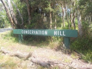 Conservation Hill