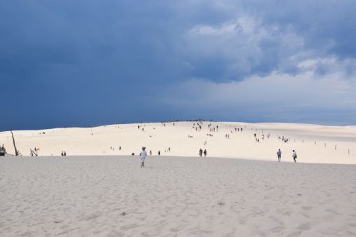 Dune